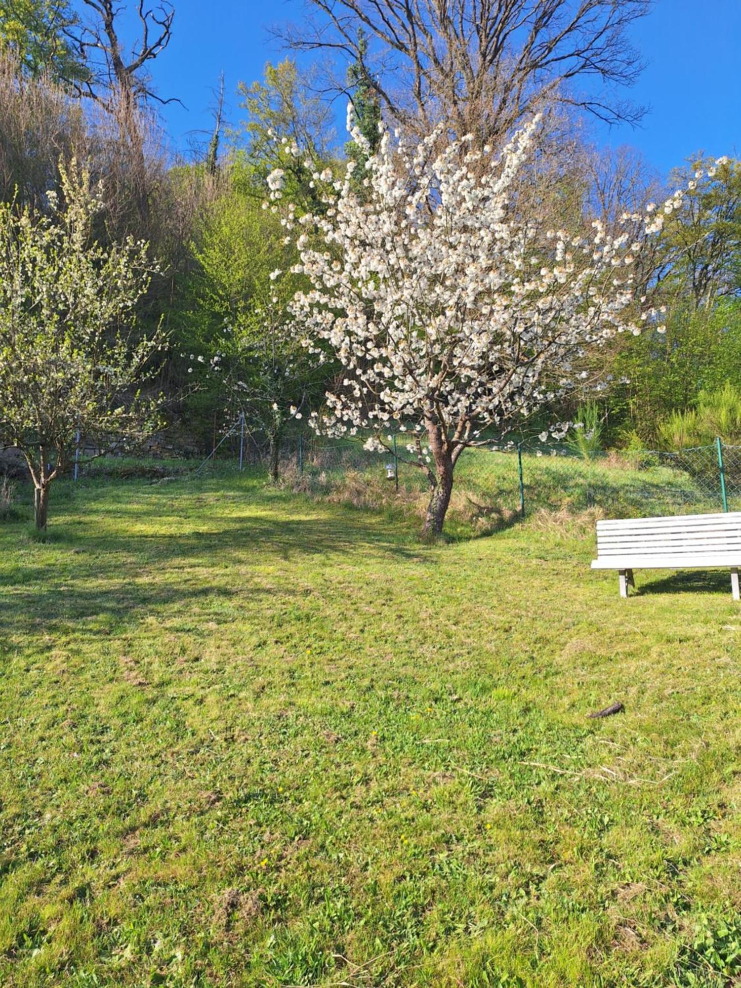 Kleines Domizil Am Suedhang Ortenberg  Zimmer foto